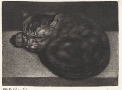 Schlafende Katze von Abraham Bloteling