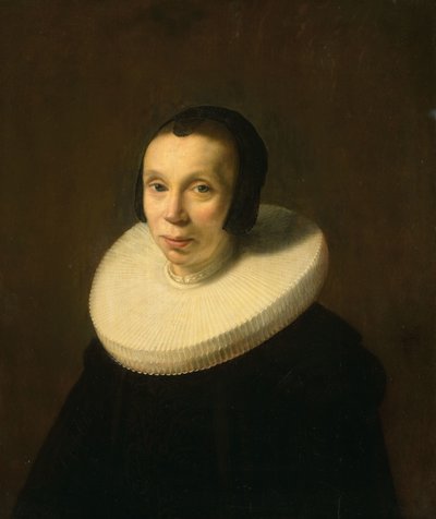 Porträt einer Frau von Abraham de Vries