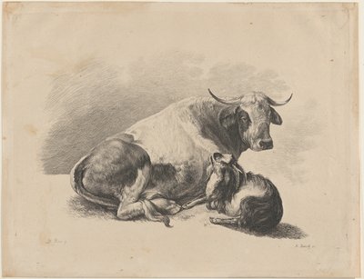 Kuh und Ziege liegend, 1800-01 von Adam von Bartsch