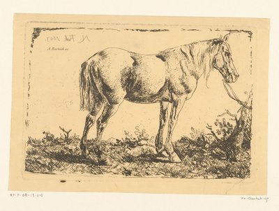 Pferd an einem Baum von Adam von Bartsch