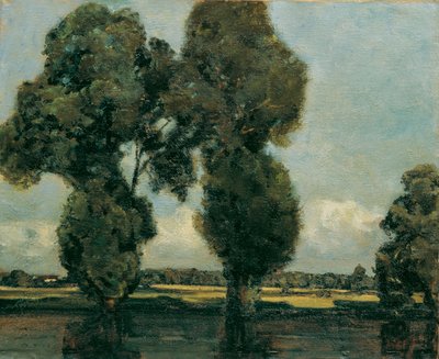 Silberpappeln von Adolf Holzel