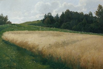 Das Haferfeld von Adolf Kaufmann