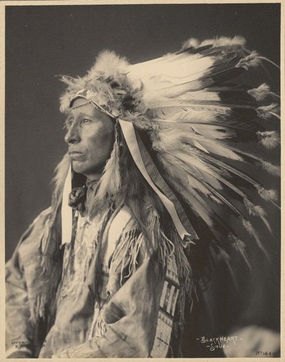 Blackheart, Sioux von Adolph F. Muhr