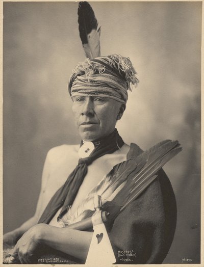 Mosteose (Heiliger Hase), Iowa von Adolph F. Muhr