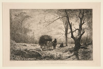 Chemin des roches (Umgebung von Creys) von Adolphe Appian