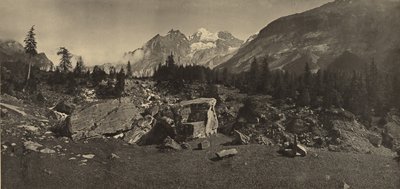 Alpenlandschaft von Adolphe Braun