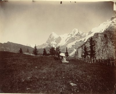 Landschaft, Schweiz von Adolphe Braun