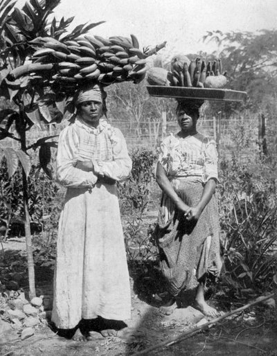 Obstverkäufer, Jamaika, um 1905 von Adolphe Duperly and Son