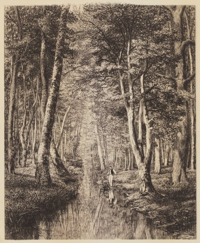 Fluss im Wald von Adolphe Martial Potemont
