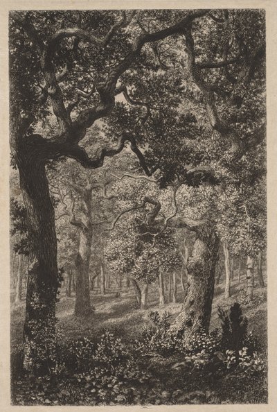 Im Wald von Adolphe Théodore Jules Martial Potémont