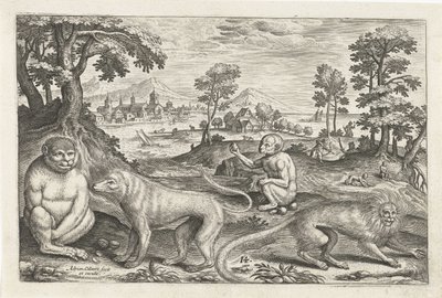 Affen von Adriaen Collaert