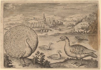 Pfau und Gans von Adriaen Collaert