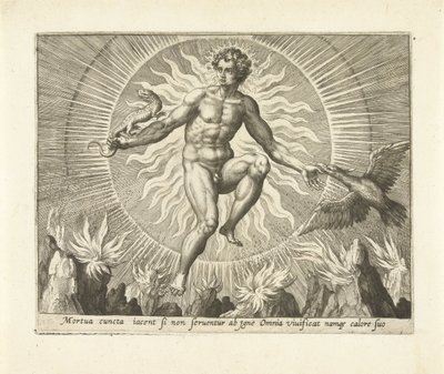 Feuer von Adriaen Collaert