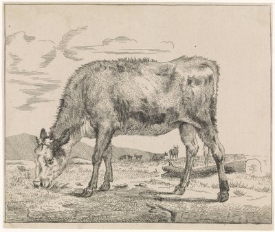 Weidendes Kalb von Adriaen van de Velde