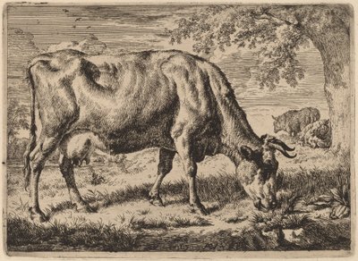 Weidende Kuh mit zwei Schafen von Adriaen van de Velde