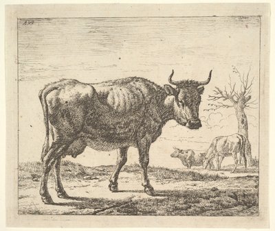 Drei Kühe, aus Verschiedene Tiere von Adriaen van de Velde
