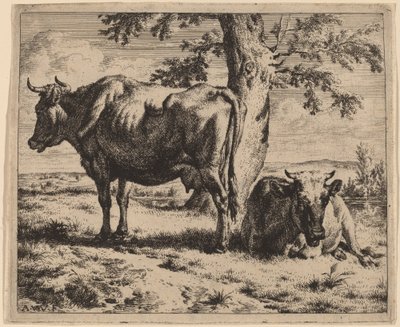 Zwei Kühe unter einem Baum von Adriaen van de Velde