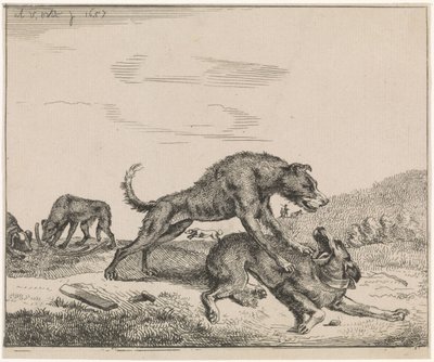 Kämpfende Hunde (Serientitel: Vieh) von Adriaen van de Velde