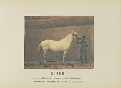 Bijou von Adrien Alban Tournachon