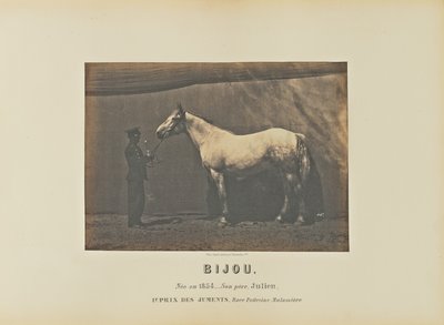 Bijou von Adrien Alban Tournachon
