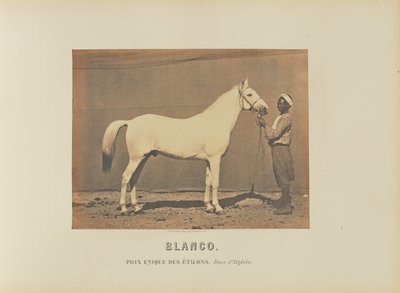 Blanco von Adrien Alban Tournachon