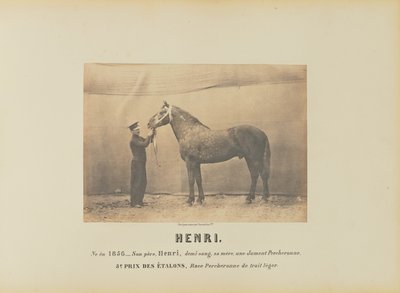 Henri von Adrien Alban Tournachon