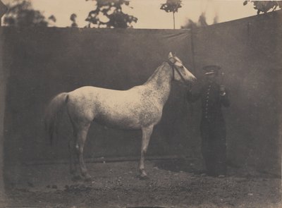 Pascaline, ca. 1855-60 von Adrien Alban Tournachon