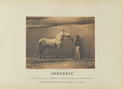 Surcouff von Adrien Alban Tournachon