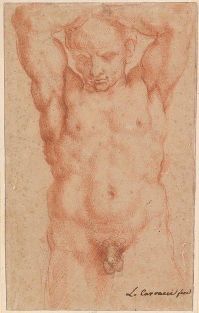 Männlicher Akt von Agostino Carracci