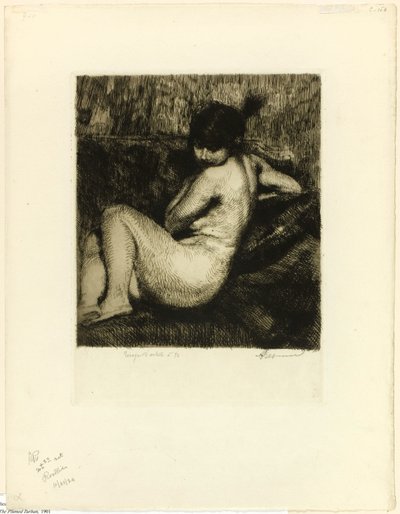 Der gefiederte Turban von Albert Besnard