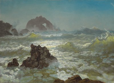 Seal Rock, Kalifornien von Albert Bierstadt