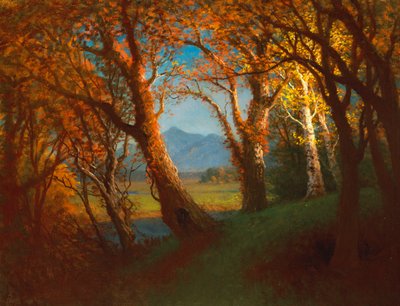 Sonnenuntergang im Nebraska-Territorium von Albert Bierstadt