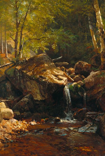 Thompson Cascade, Weiße Berge von Albert Bierstadt