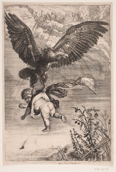 Ganymed wird vom Adler entführt von Albert Haelwegh