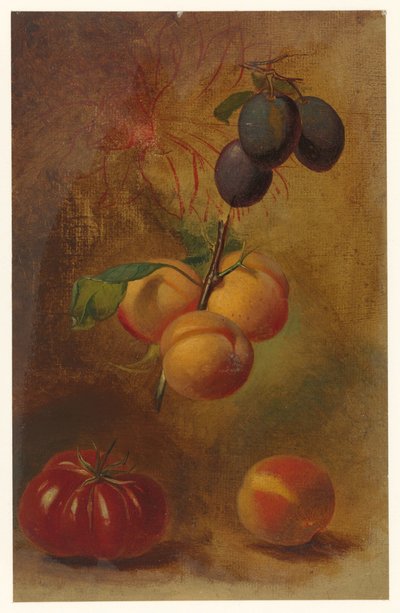 Stillleben mit Pflaumen, Aprikosen und Tomate von Albertus Steenbergen