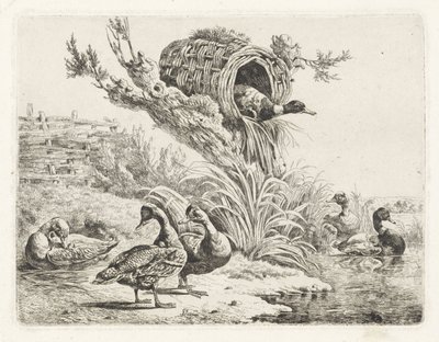 Enten an einem Ufer von Albertus Verhoesen