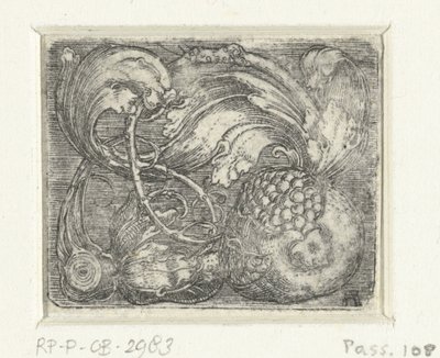 Granatapfel und Blattranken von Albrecht Altdorfer