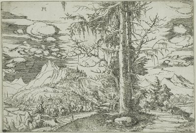 Landschaft mit einer doppelten Fichte von Albrecht Altdorfer