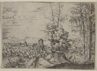 Landschaft mit zwei Kiefern von Albrecht Altdorfer