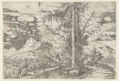 Landschaft mit doppelter Fichte von Albrecht Altdorfer