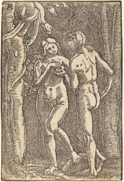 Der Sündenfall von Albrecht Altdorfer