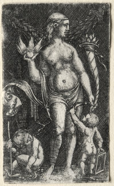 Venus zwischen zwei Cupidos von Albrecht Altdorfer