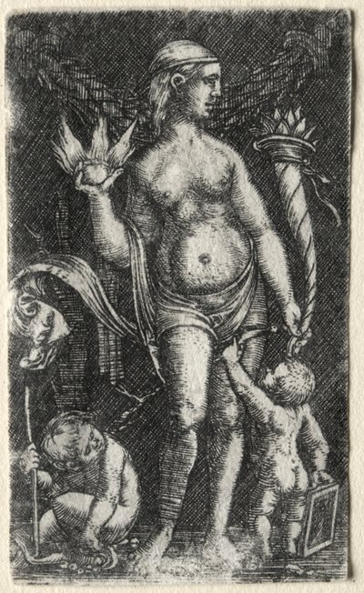 Venus zwischen zwei Cupidos, 1520 von Albrecht Altdorfer