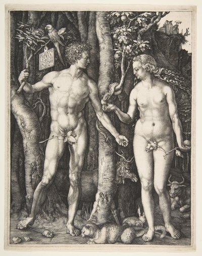 Adam und Eva, 1504 von Albrecht Dürer