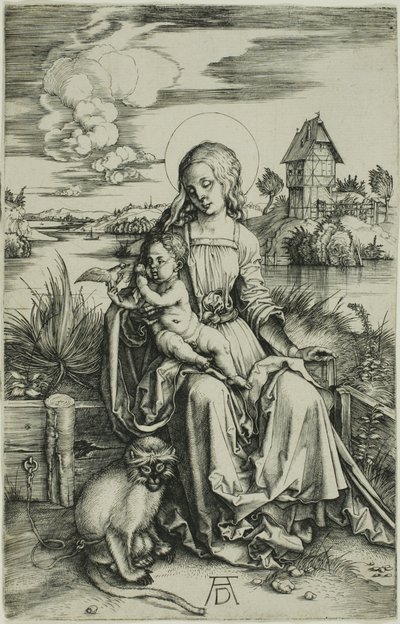 Madonna mit dem Affen von Albrecht Dürer