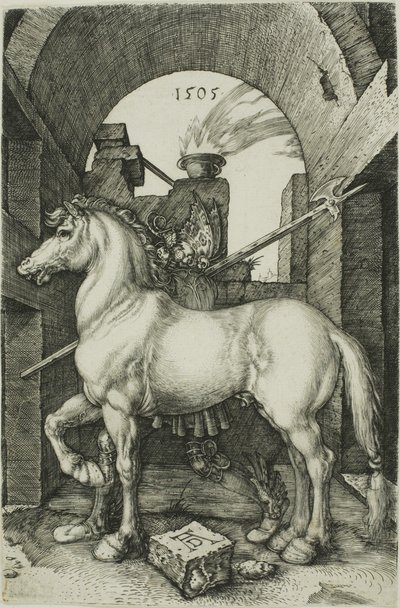 Das kleine Pferd von Albrecht Dürer