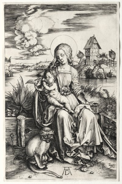Die Jungfrau und das Kind mit einem Affen von Albrecht Dürer