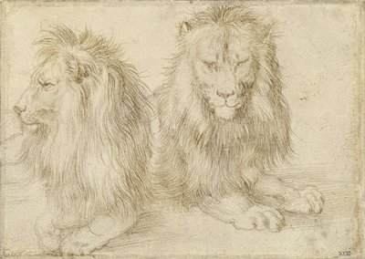 Zwei sitzende Löwen, 1521 von Albrecht Dürer