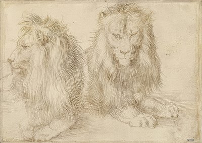 Zwei liegende Löwen. 1521 von Albrecht Dürer