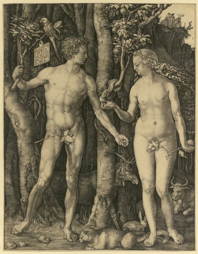 Adam und Eva von Albrecht Dürer